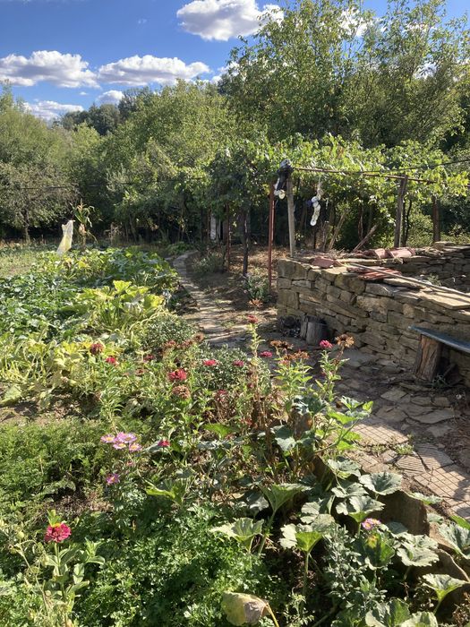 Къща с двор и геран