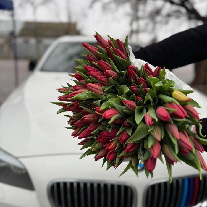 Тюльпаны Тараз Опт