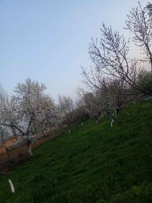 Бўш ер майдон сотилади