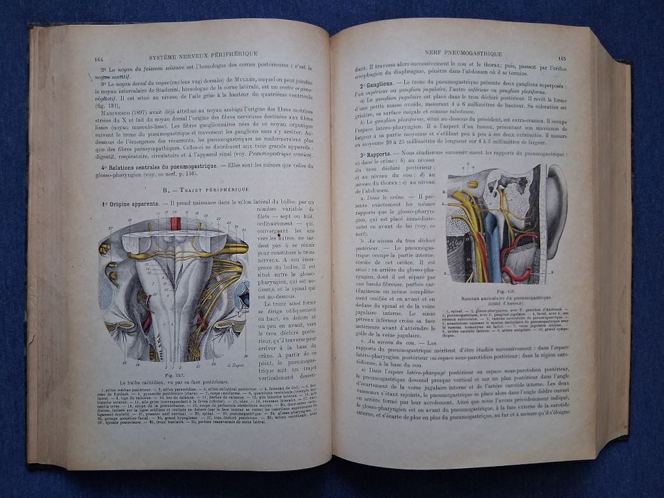 Антикварна Френска Книга по Медицина Човешката Анатомия 3 Том / 1930 год.
