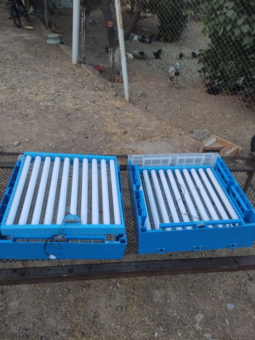 Инкубатор продам