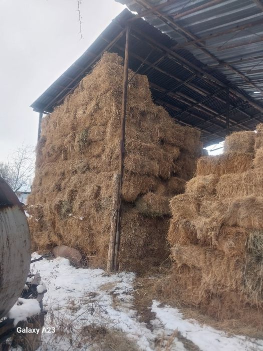 Шоп сена сатылады багасы до