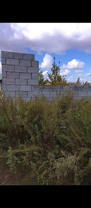 Земля в кояндах с фундаментом