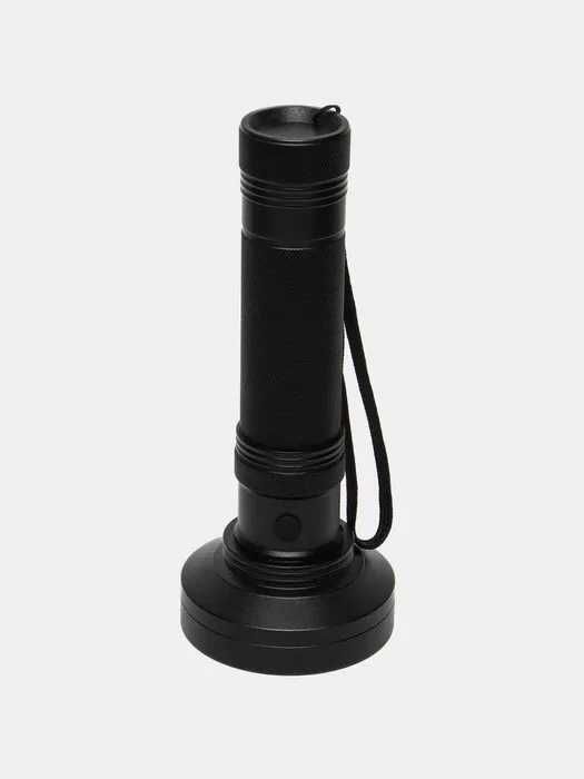 100 ta LEDli ultrabinafsha fonar (395 nm)