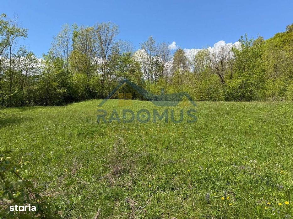 Teren Intravilan  – Provița de Jos | 1.939 mp | Curent electric