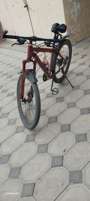 Velik sotiladi razmeri 27