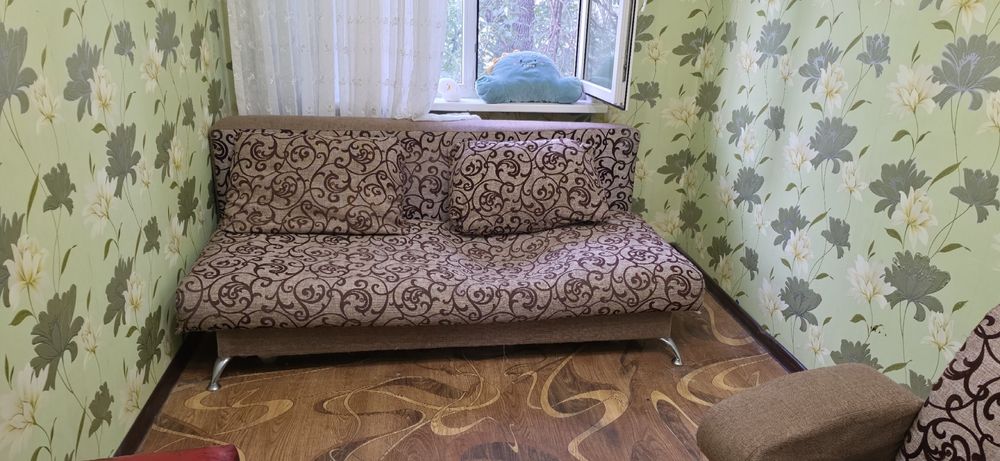 Отдам даром срочно!