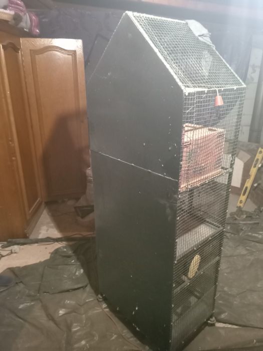 Colivie la. Schimb cu roiuri de albine. Sau  cu porumb