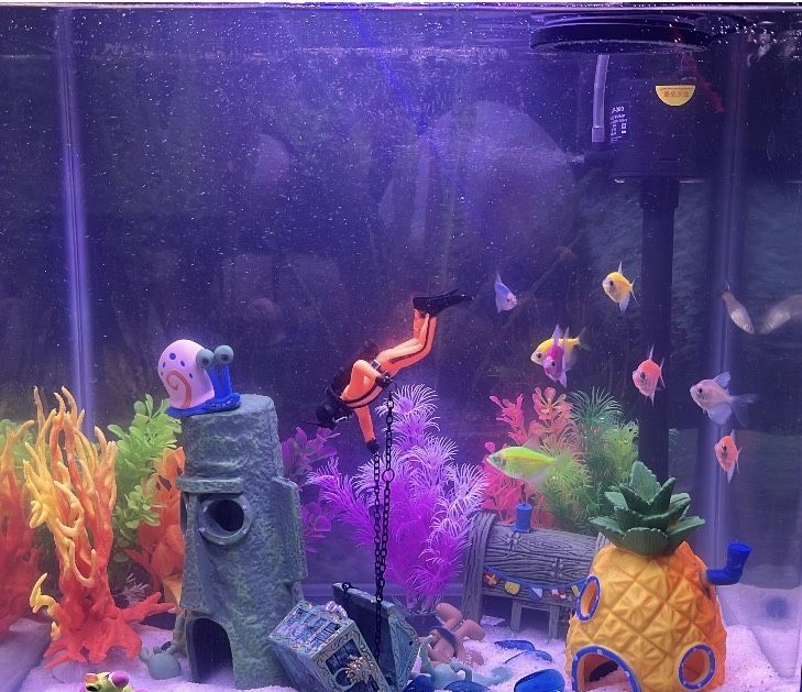 Продам аквариум вместе с рыбками