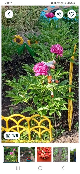 Продаю земельный участок (дача)