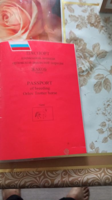 Продам жеребца орловца