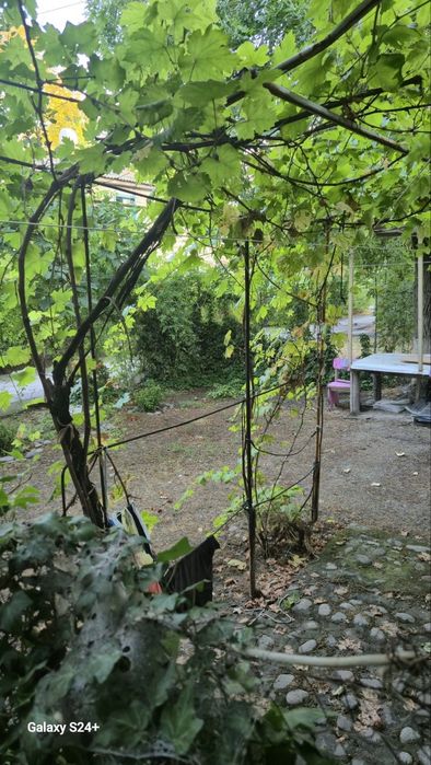 1/1/2. Дом деревянный. Спутник 1 (Сергели). Квартира 31 м². Метро 700м