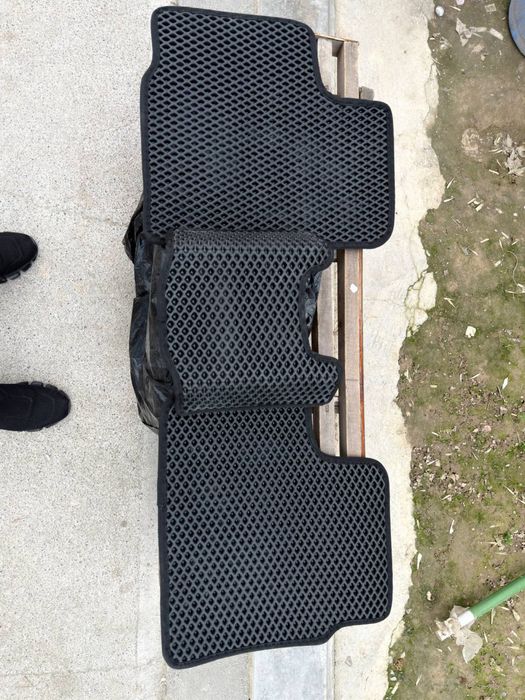 Matiz Evakor polik arginal