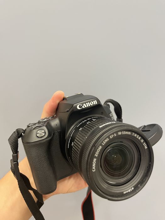 Canon 250d 4k камера