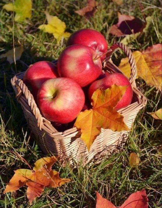 Диадема „Златна есен богата реколта“