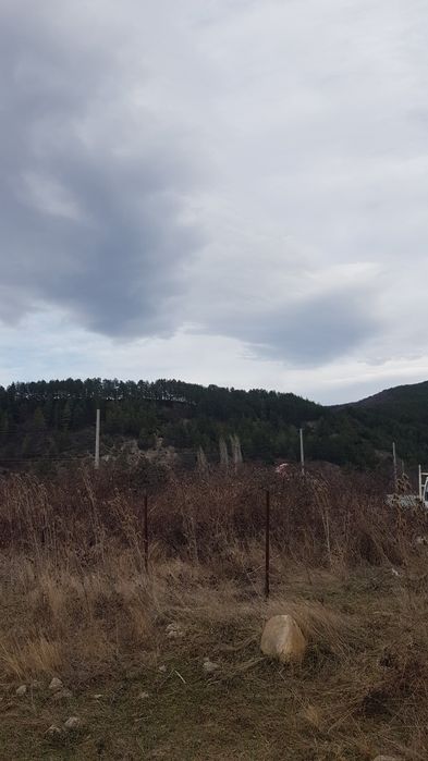 Продава се Парцел в Сапарева баня - 550 кв.м за 88 €/кв.м - Снимка #2