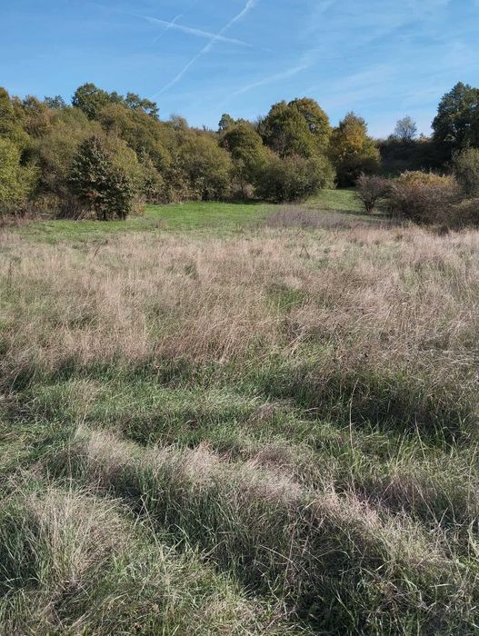 Продава се Земеделски имот в с. Бучин проход, Област София-област -  кв.м за 2040 €/дка - Снимка #7