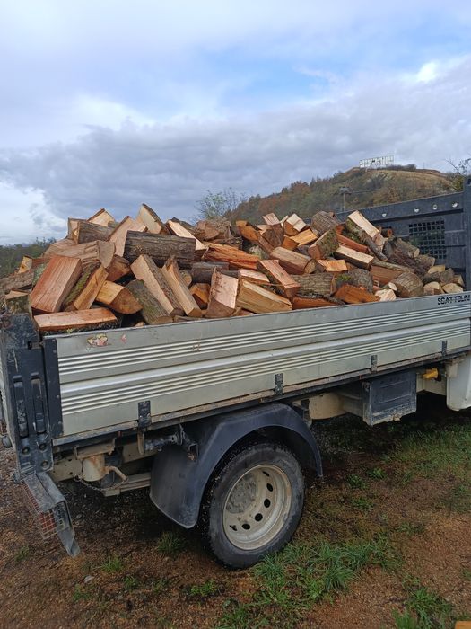 Lemne de foc esență tare.