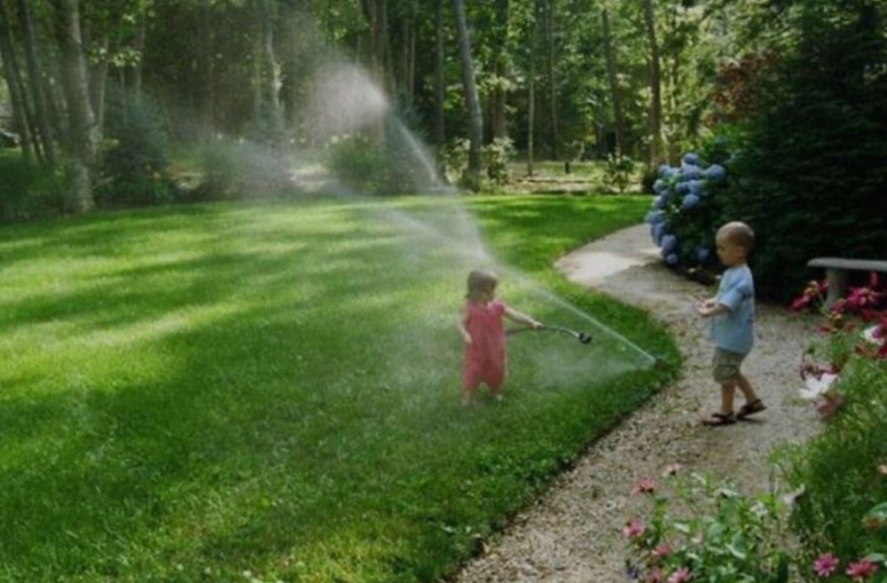 Газон посевной рулонный