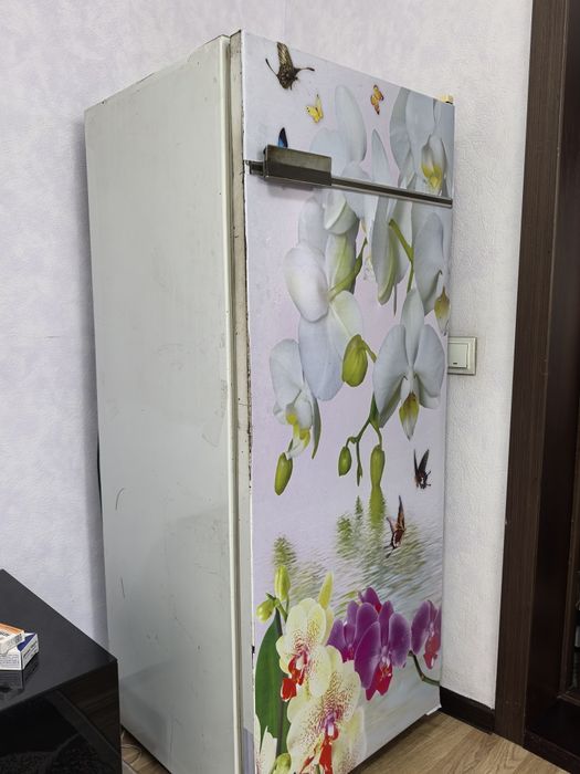 Холодильник Бирюса