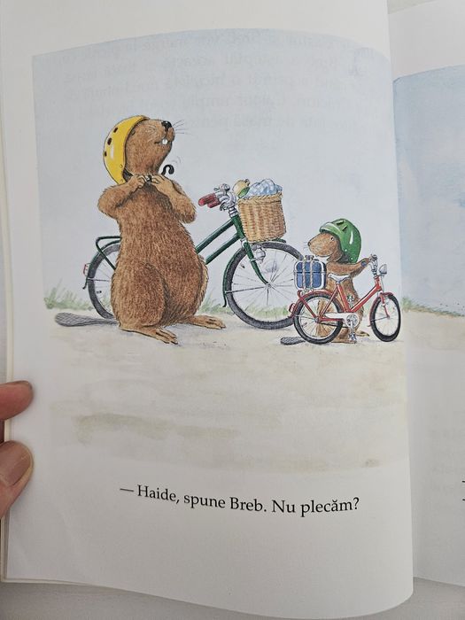 Set 6 cărți „Castor”