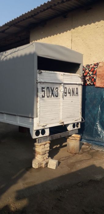 Qoy mol tashigan mòjalangan