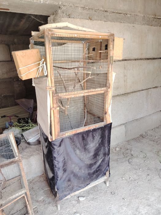 to‘tin inlar sotiladi o‘zimnik bittasi 60ming ikkinchisi 170ming bchc