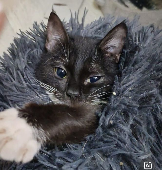 Симпатишная девчуля