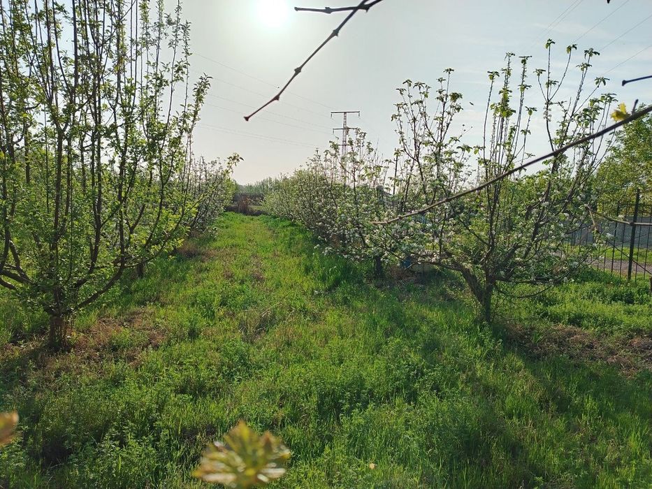 Ташморяда 60 стокли ер