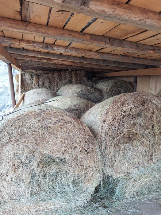 Vand baloti de otava