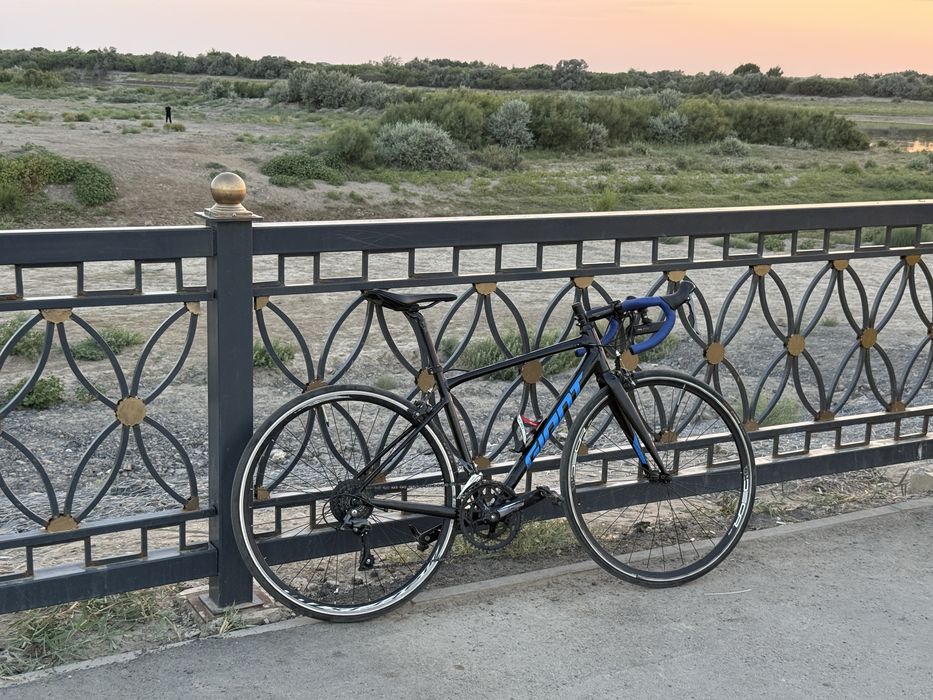 Giant Contend 3 ИДЕАЛ