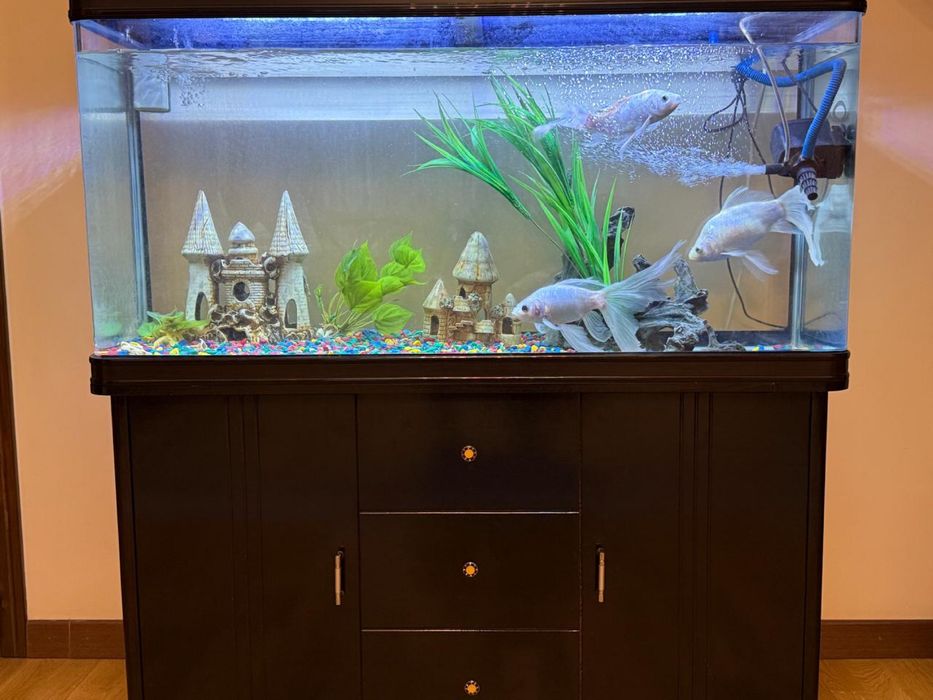 Аквариум 400 литров