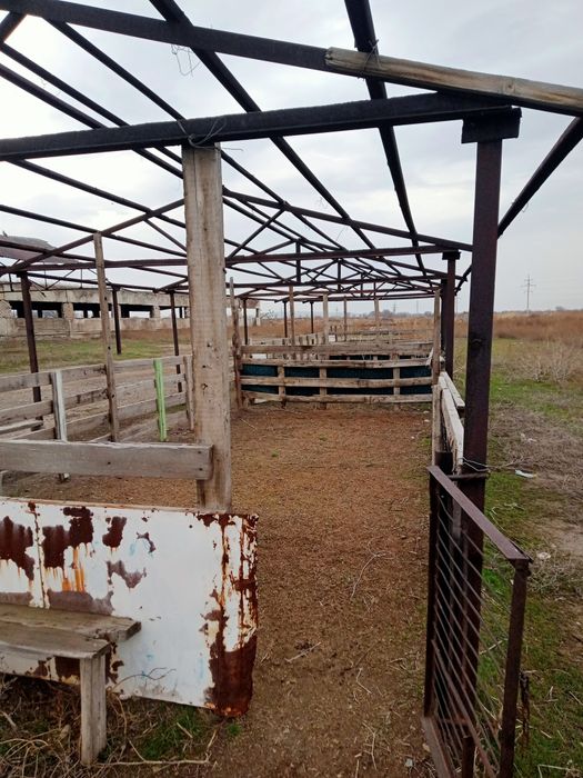 Құлагер мал базары сатылады