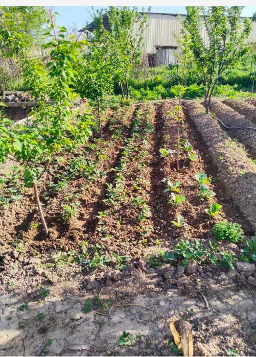 Продается дом г. Нурафшан