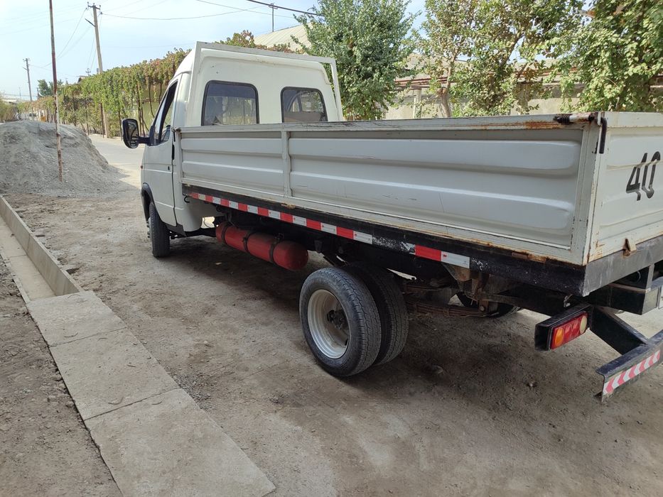 Gazel sotiladi. Yurib turgan.