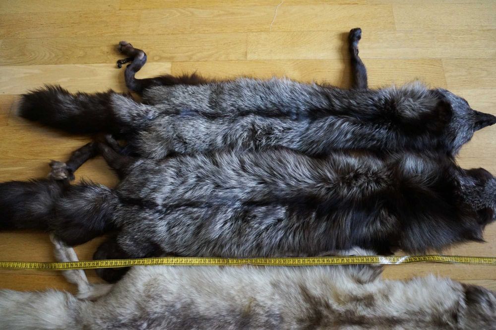 кожена яка   лисици  норки