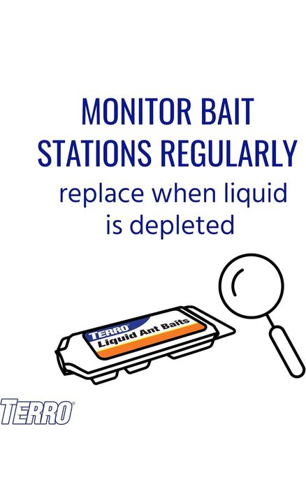 Средство от меравьев в доме