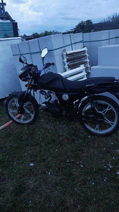 Продам альфу Shark