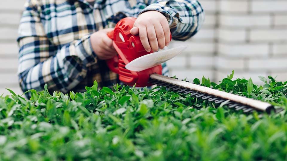 Прокат Инструментов Аренда Инструментов Кусторез разных видов 24.7