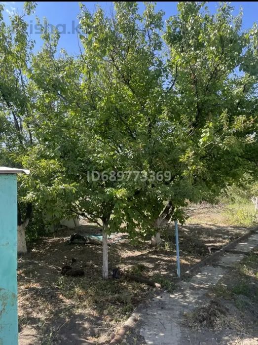 Продам дачу в Алмалах