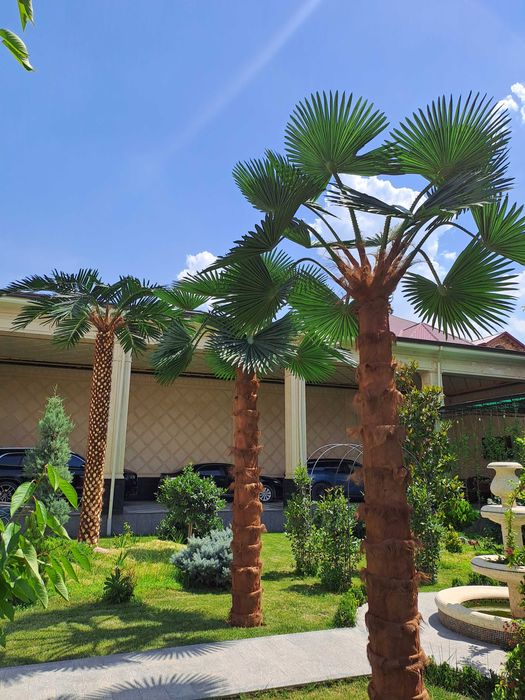 Sun’iy eko palma daraxtlari | 30% chegirma | bepul dizayn loyihasi
