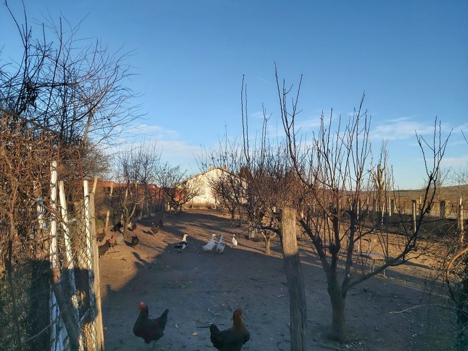 Продава се Хотел в с. Нова Черна, Област Силистра - 1265 кв.м за 68 €/кв.м - Снимка #7