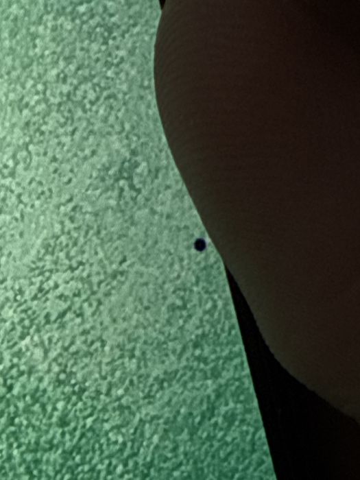 Samsung Galaxy S22 идеал