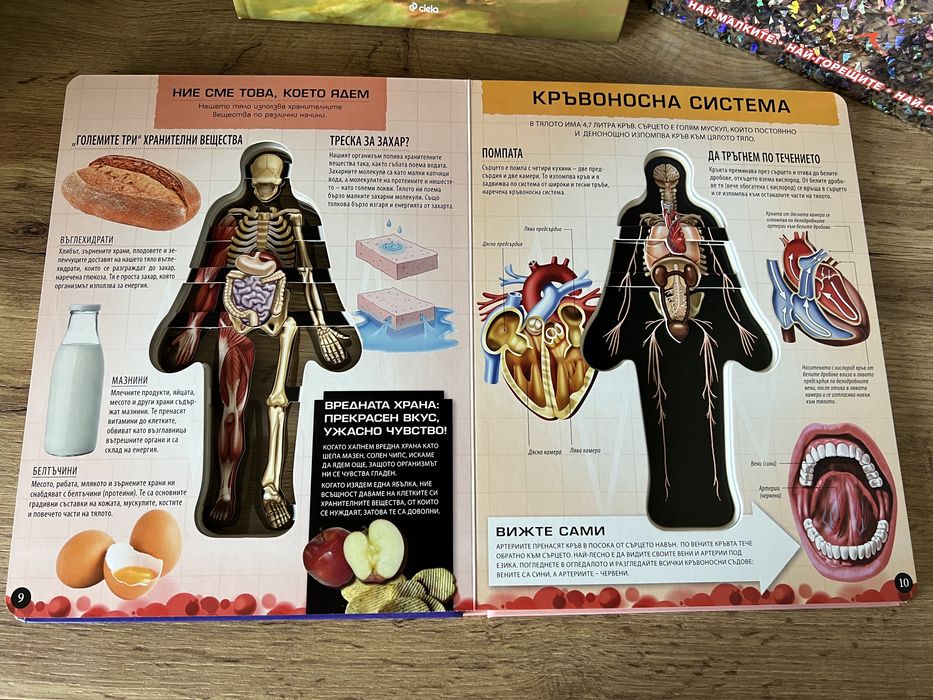 Комплект енциклопедии + подарък