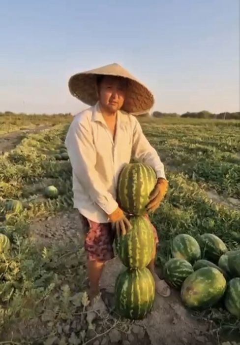 Семена арбуза АРЛАН