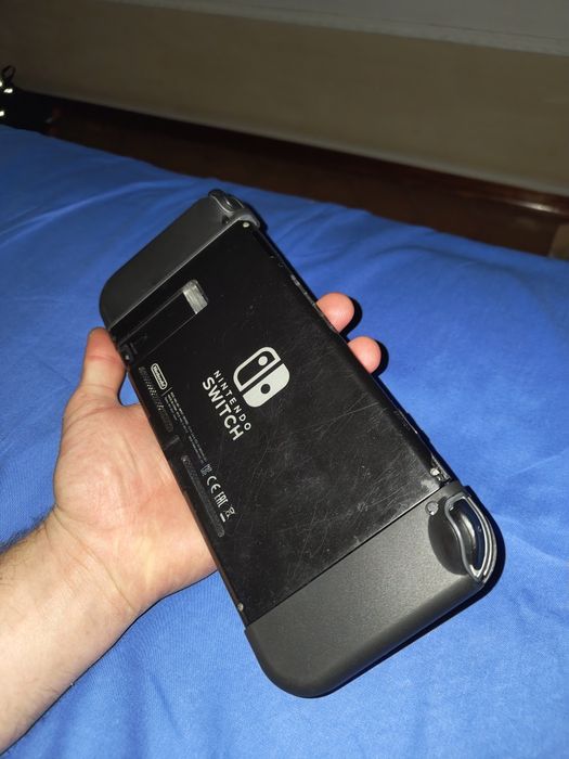 Nintendo switch modat picofly