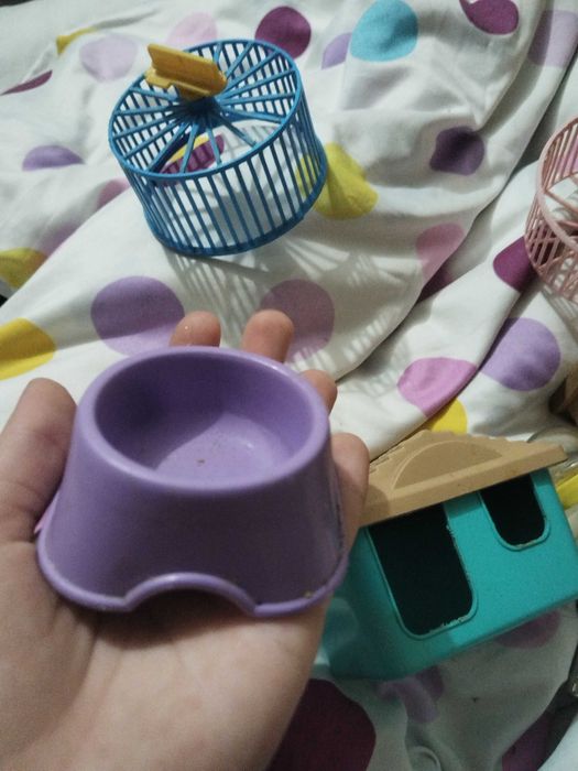 Вещи для грызунов