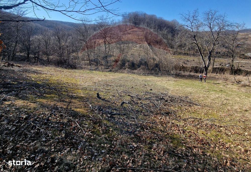 Teren de Vânzare în Pâncești (Sascut)