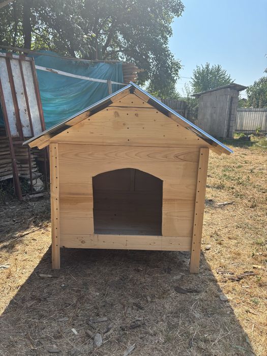 Execut cuști de câini.