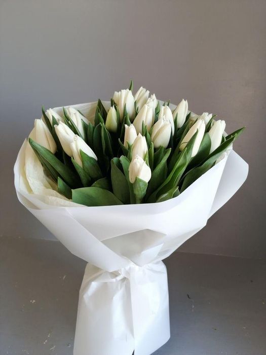 ТЮЛЬПАНЫ от 600 тг.